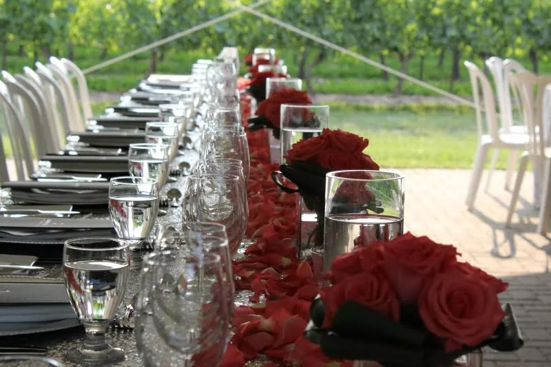 Wedding celebration at Jackson-Triggs Niagara Estate