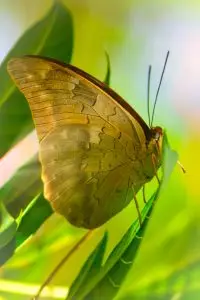 Read more about the article Niagara-on-the-Lake Backyard Weddings: 2026 Guide